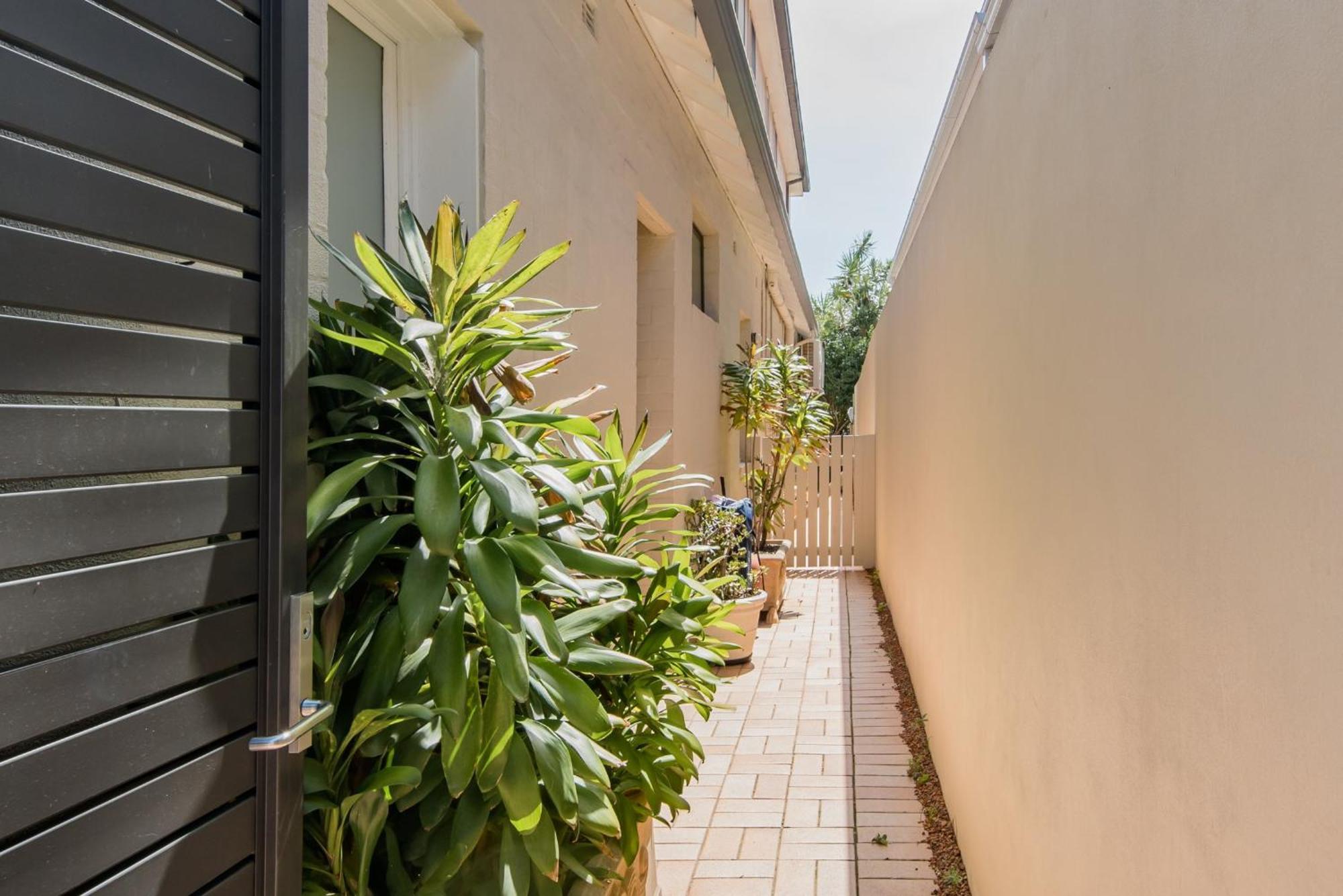 Holidayrento The Palm House Bondi Сидней Экстерьер фото